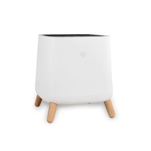 Smart Air Purifiers